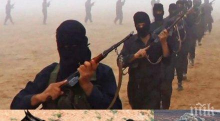 горещо войната джихадистите съвсем закъсаха главорезите ислямска държава останаха без превоз предвижват коне