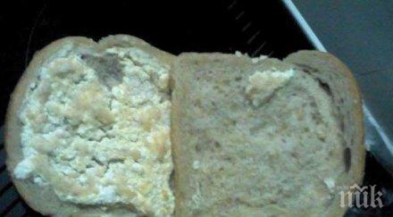 майки потрес вижте какъв безплатен сандвич мечта раздават родно училище снимки