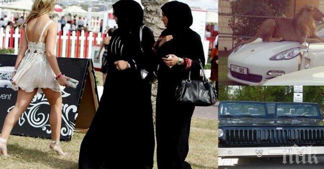 30 неща, които могат да се видят само и единствено в Дубай!!! 