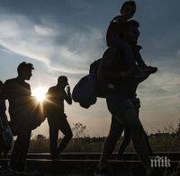 50 000 мигранти за 7 дни в Словения, Любляна се готви да вдига ограда