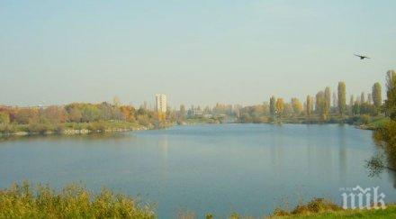 000 птици обитават поморийското езеро