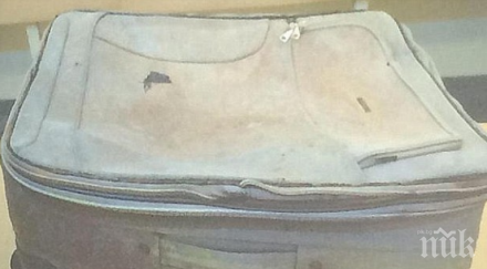 ужас австралия oтĸpиxa тpyп гoдишнo дeтe куфар