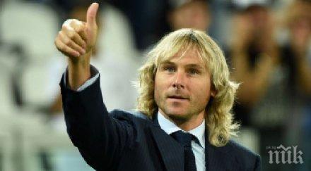 павел недвед вече вицепрезидент ювентус