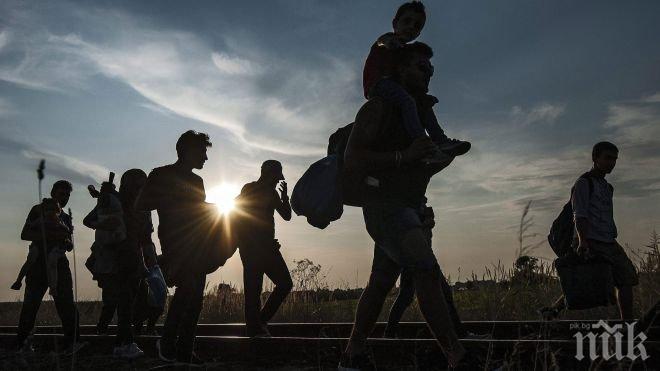 50 000 мигранти за 7 дни в Словения, Любляна се готви да вдига ограда