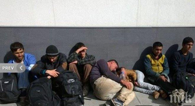 Армения е приютила 17 хиляди сирийски бежанци