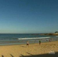 Трагедия! Младоженци се удавиха на медения си месец в Африка