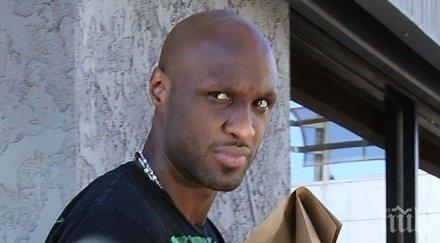 фенове предложиха бъбрек ламар одъм