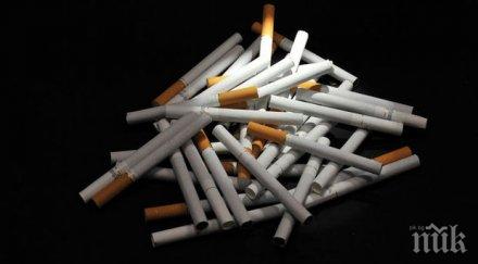 млрд души стигнат жертвите тютюна