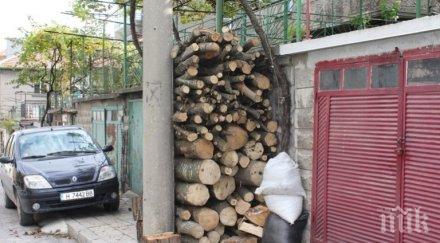 наглост изобретателност шуменец подпря дървата уличен стълб