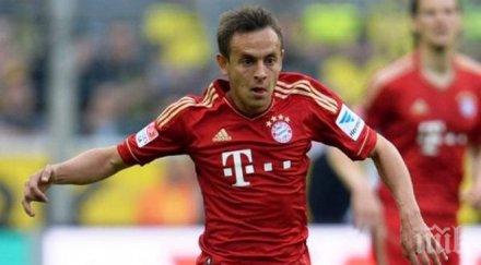 световните шампиони разчитат годишен бразилец