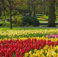 Крос в парка в подкрепа на хората с диабет