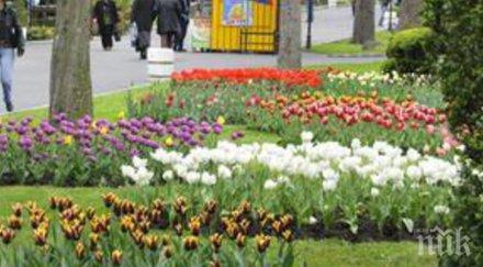 морската градина варна опасно ограбиха гражданин взеха лева сила