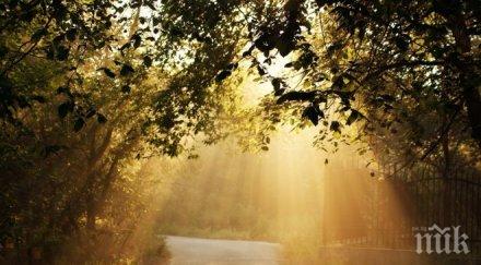 слънчево тихо време димитровден