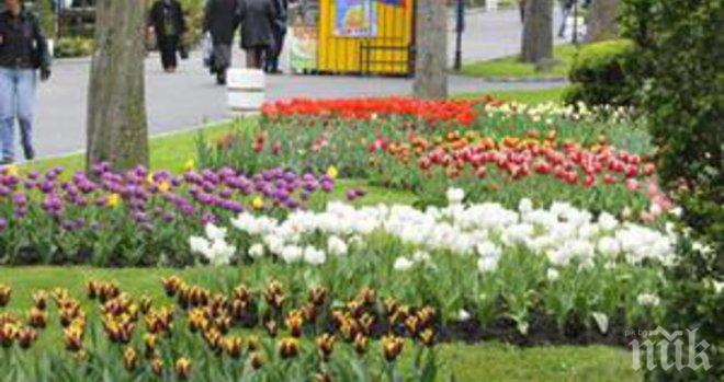 В Морската градина във Варна е опасно! Ограбиха гражданин, взеха му 20 лева със сила