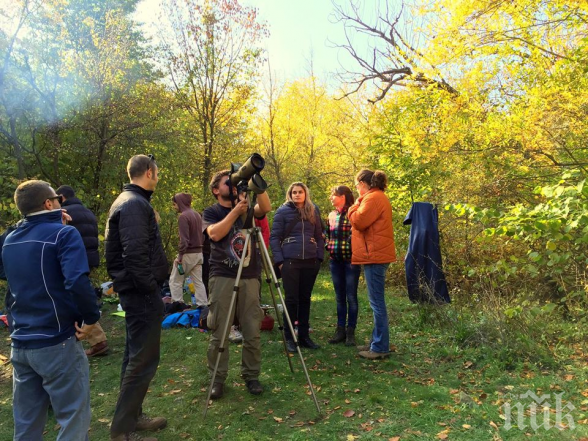 Сървайвър край Перник