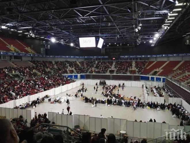 ПИК ТV: Колапс в Арена Армеец