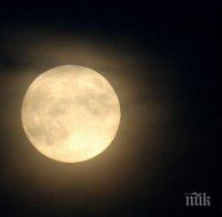 Русия възнамерява да изпрати космонавти на Луната 