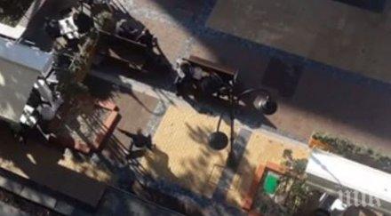 шаш народът полудя окончателно видео