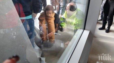 шефката оик софия симуланти основание оставки