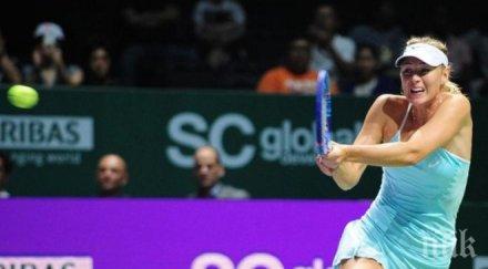 маша шарапова пак подчини халеп