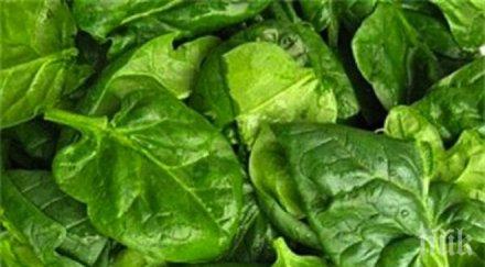 пик хасковско настъпи време наклаждането зеле