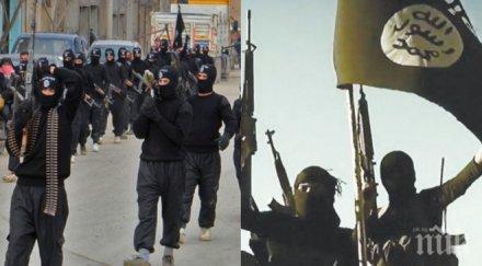 сащ акцията ислямска държава кратка