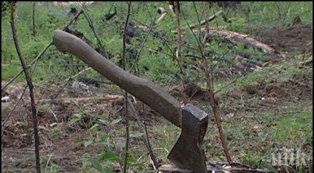 украинците масово изсичат горите дърва отопление