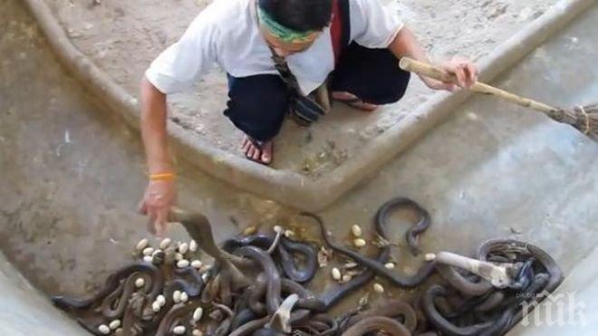 Лего заподозря въвличане на Ай Вейвей в създаване на произведения с политическо съдържание