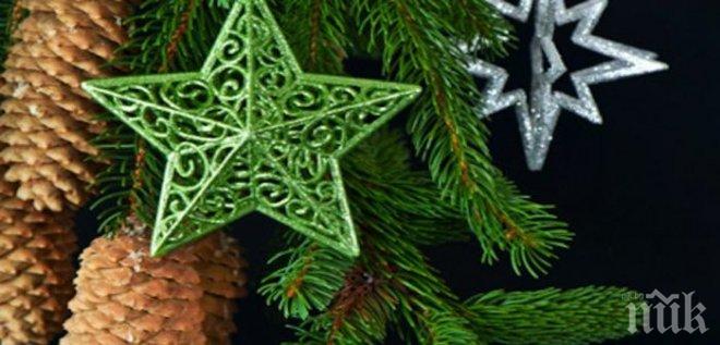 Хиляди участваха в коледно шествие в Канада по-рано, за да помогнат на болно дете, да изживее истински празник