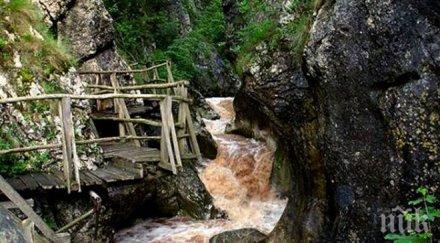 дават осиновяване обновените пътеки витоша