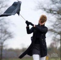 Жълт код за бурен вятър е обявен в 5 области