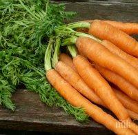 Наистина ли консумацията на моркови подобрява зрението?