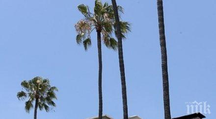 жителите бевърли хилс отнесоха солена глоба вижте