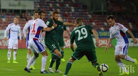 виданов титуляр равенство гурник