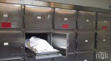 телата загиналите катастрофиралия руския самолет откарани моргата кайро