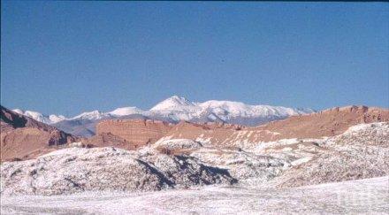 разцъфтя сухата пустиня земята