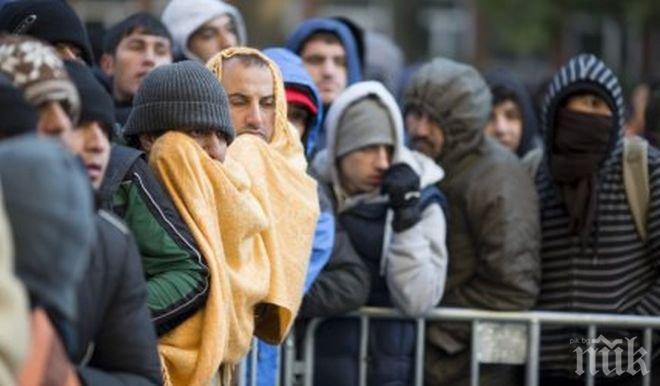 Пребиха двама бежанци с бухалки в Германия
