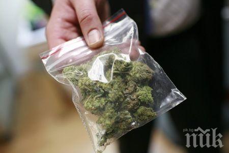 5 открития, направени под въздействието на наркотици