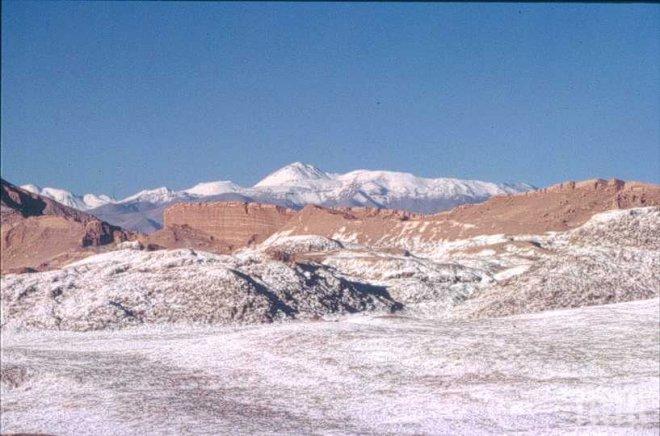 Разцъфтя най-сухата пустиня на Земята