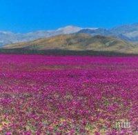 Китай и Франция са постигнали съгласие за споразумение за климата
