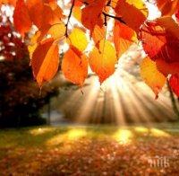 Ново циганско лято започва! Седмицата идва със слънце и почти двойно по-високи температури