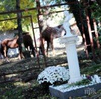 Бял ангел в Борисовата градина! Паметникът е поставен на лобното място на убития Георги