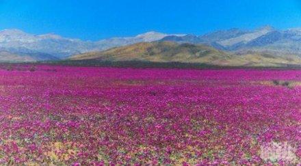 китай франция постигнали съгласие споразумение климата