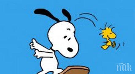 снупи звезда алеята славата