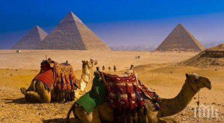 резервациите русия екскурзии египет паднали