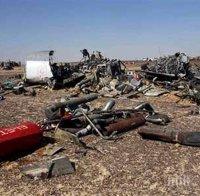 Френски експерт: 