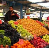 Все повече деца не разпознават растенията и плодовете 