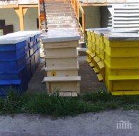Мерзавец задигна три кошера с пчели от имот във Варненско