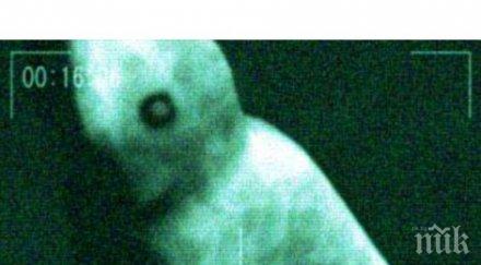 показват извънземно софия