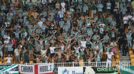 феновете черно море свалиха доверието адмирала изригнаха гледаме мъртъвци